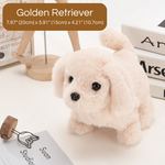 PupBuddy – The Interactive Pet Toy That Teaches and Loves Back