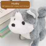 PupBuddy – The Interactive Pet Toy That Teaches and Loves Back
