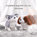 PupBuddy – The Interactive Pet Toy That Teaches and Loves Back