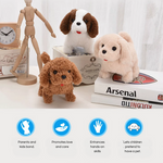 PupBuddy – The Interactive Pet Toy That Teaches and Loves Back
