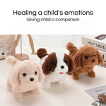 PupBuddy – The Interactive Pet Toy That Teaches and Loves Back