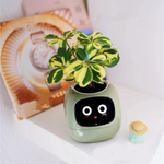 Powered Smart Plant Pot – Real-Time Monitoring & Display