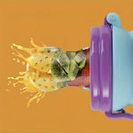 Cute Cartoon Baby Fruit & Vegetable Feeder – Fresh Food Pacifier for Infants