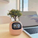 Powered Smart Plant Pot – Real-Time Monitoring & Display