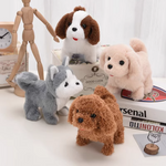 PupBuddy – The Interactive Pet Toy That Teaches and Loves Back