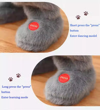 Dancing Talking Tom Cat – Interactive Singing Plush Toy