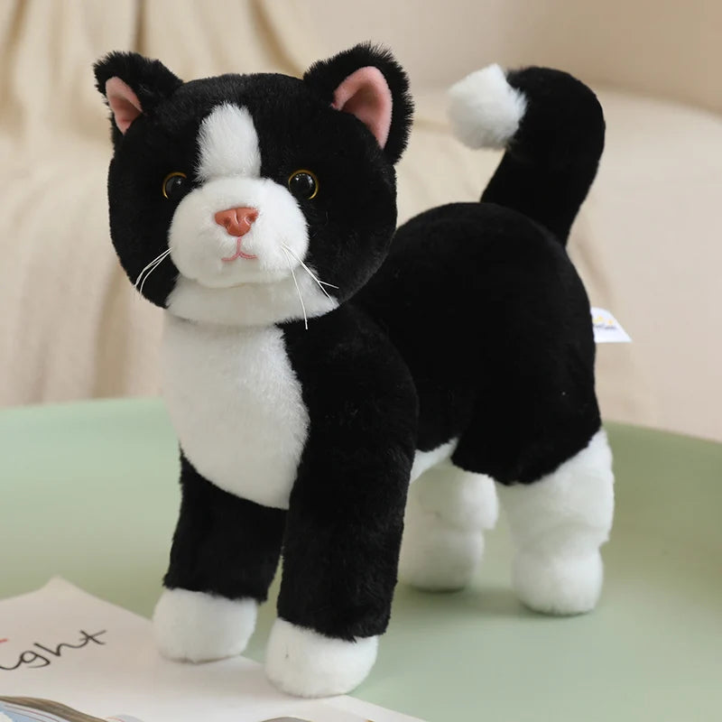Cat Plush – Size Reference | Toki Toy Box