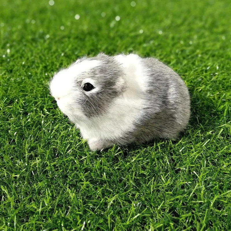 Realistic Hamster Plush – Lifelike Mini Pet – Lifestyle | Toki Toy Box