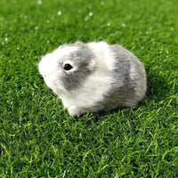 Realistic Hamster Plush – Lifelike Mini Pet