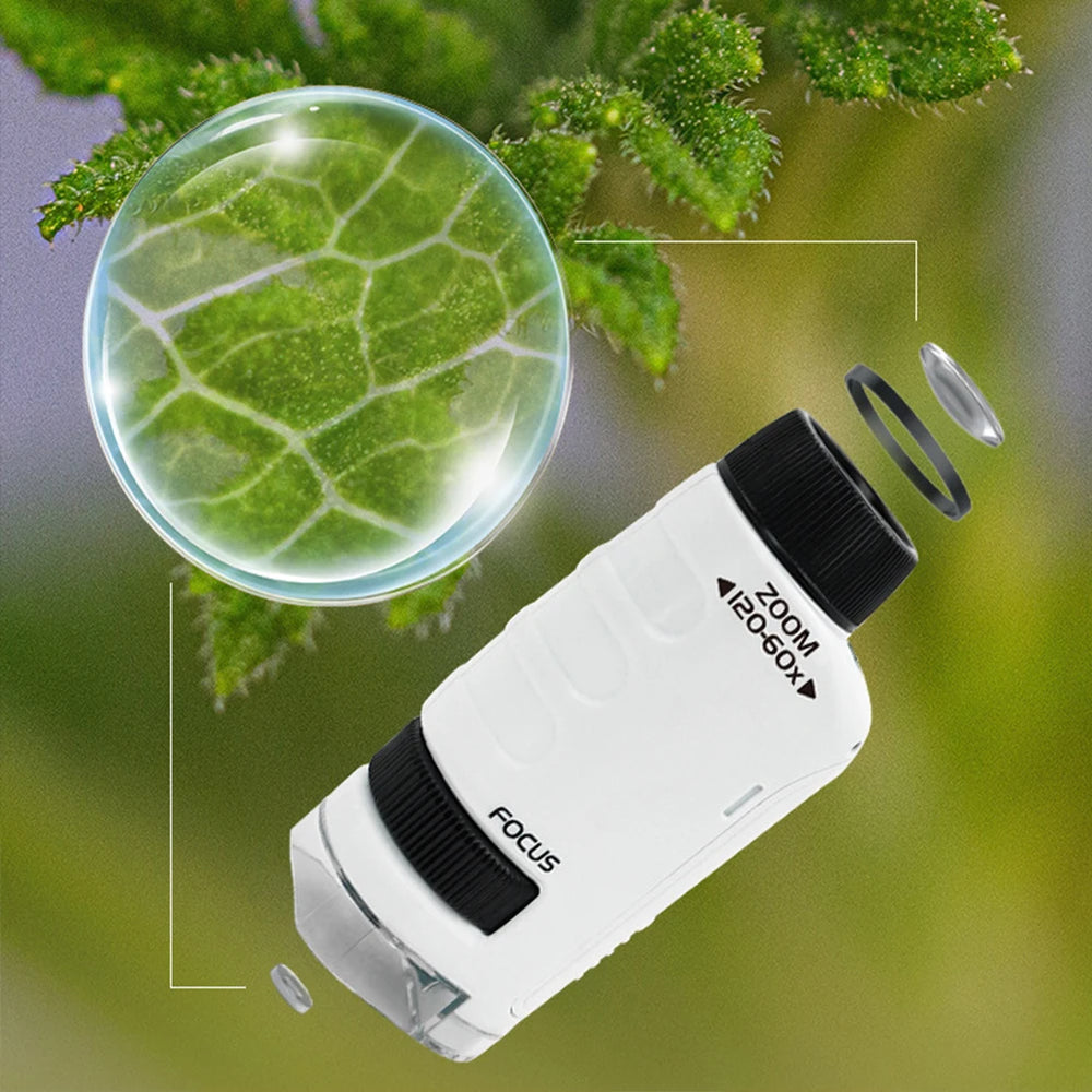 Pocket LED Microscope for Curious Kids - Toki Toy Box