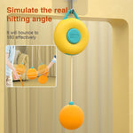 Family Ping Pong Set – Fun, Fitness & Bonding in One!