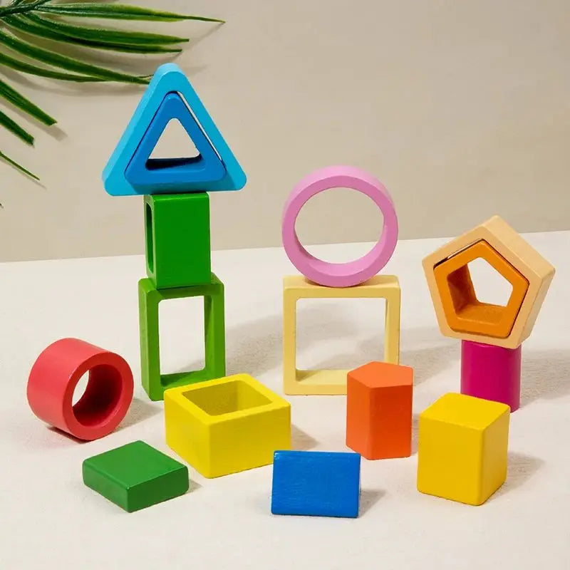 Montessori Wooden Shape Sorting Toy for Toddlers