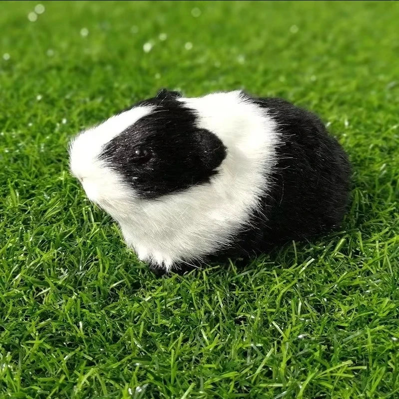 Realistic Hamster Plush – Lifelike Mini Pet – Color Options | Toki Toy Box