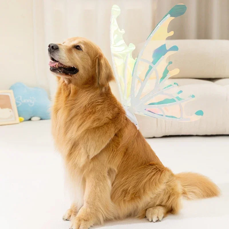 Luminous Butterfly Wings Toy for Pets – Magical Glow – In Use | Toki Toy Box