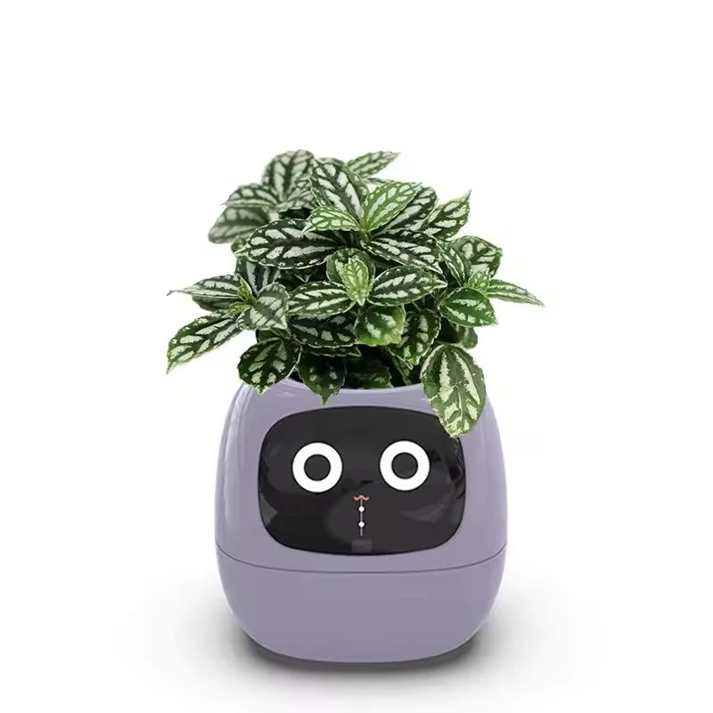 Smart Plant Pet Pot – Self-Watering Desk Companion