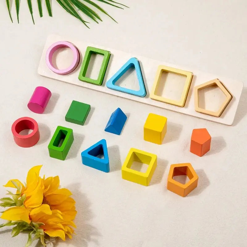 Montessori Wooden Shape Sorting Toy for Toddlers