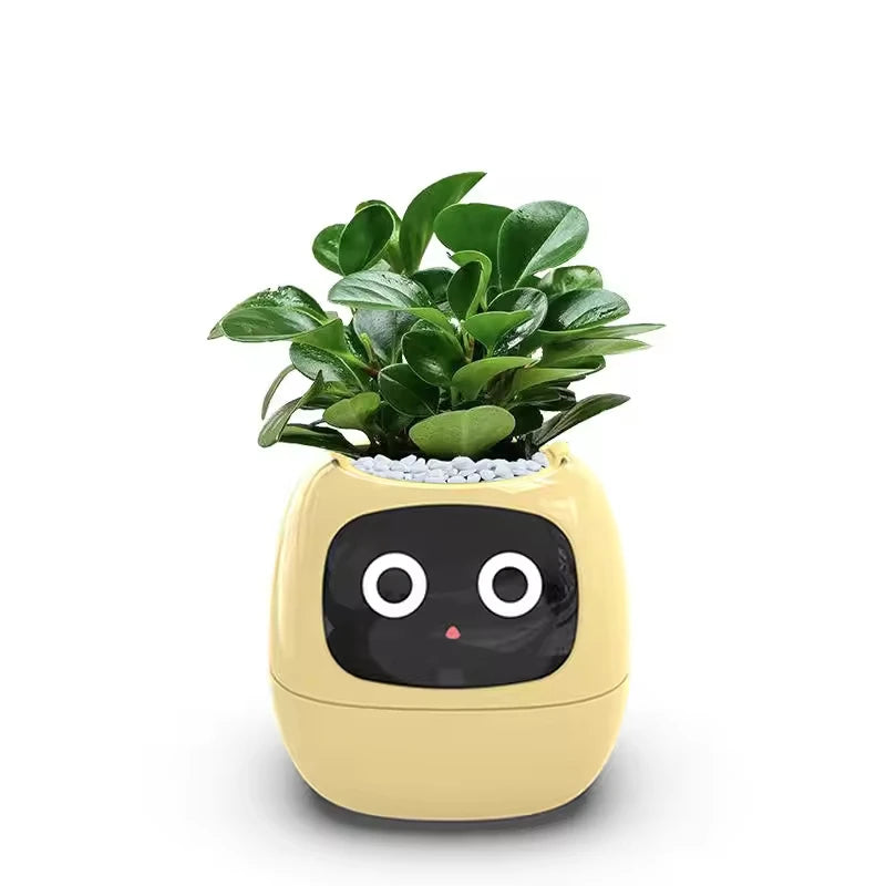 Smart Plant Pet Pot – Self-Watering Desk Companion