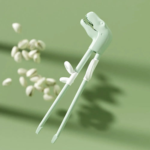 Dinosaur Training Chopsticks – Easy Learning Set | Toki Toy Box - Toki Toy Box