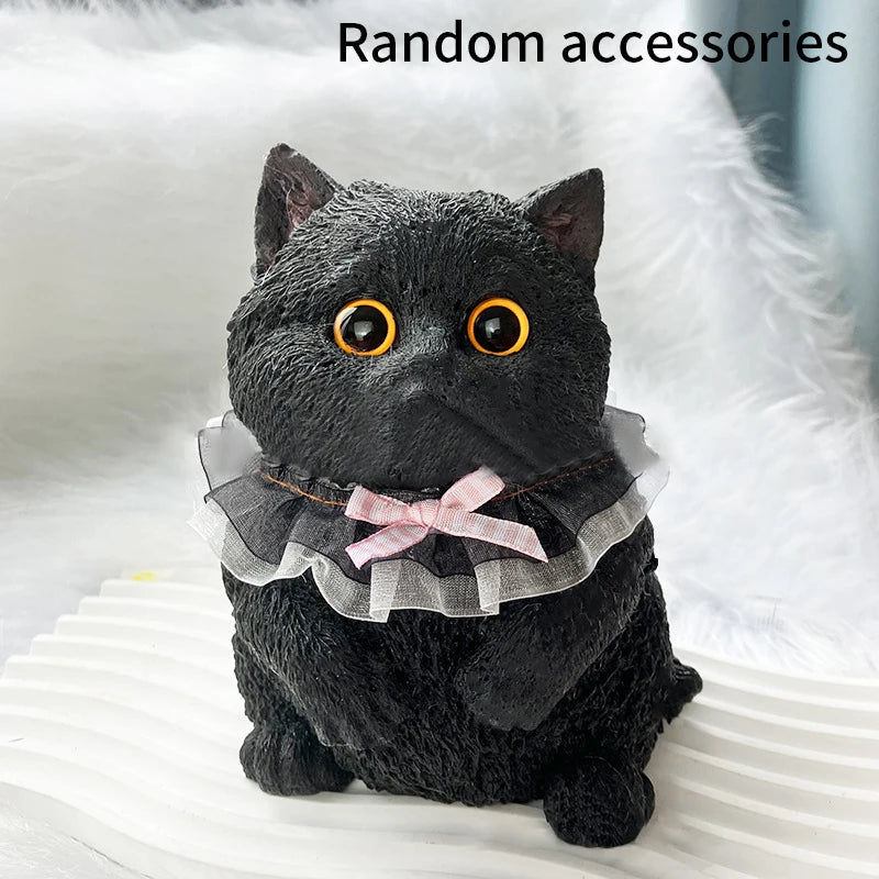 Squishy Fat Cat Stress Toy | Toki Toy Box – View 11 | Toki Toy Box