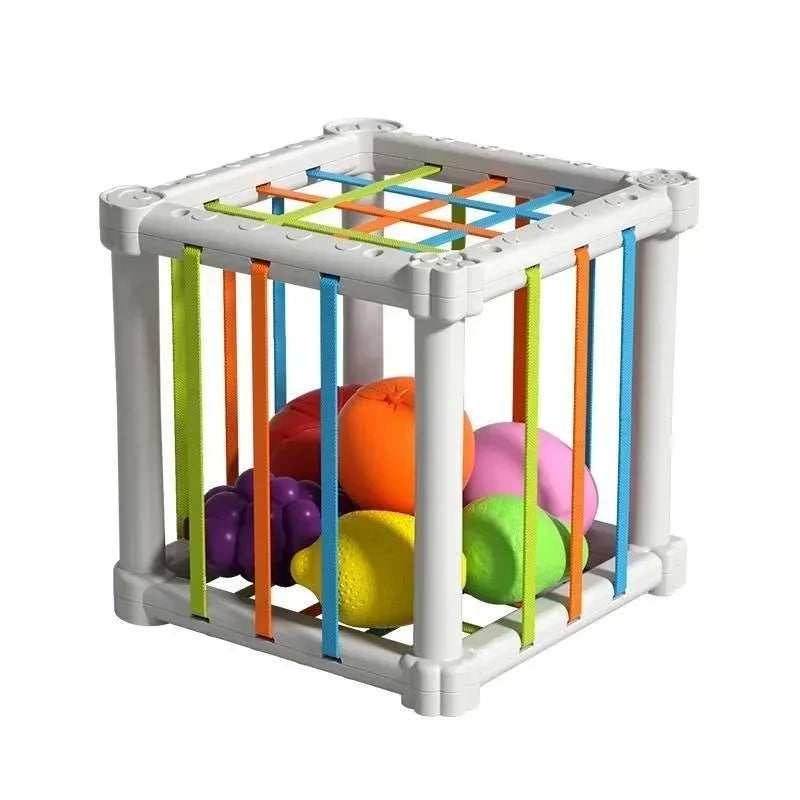 Montessori Toys