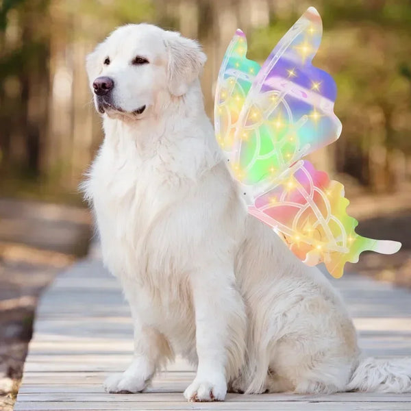 Luminous Butterfly Wings Toy for Pets – Magical Glow