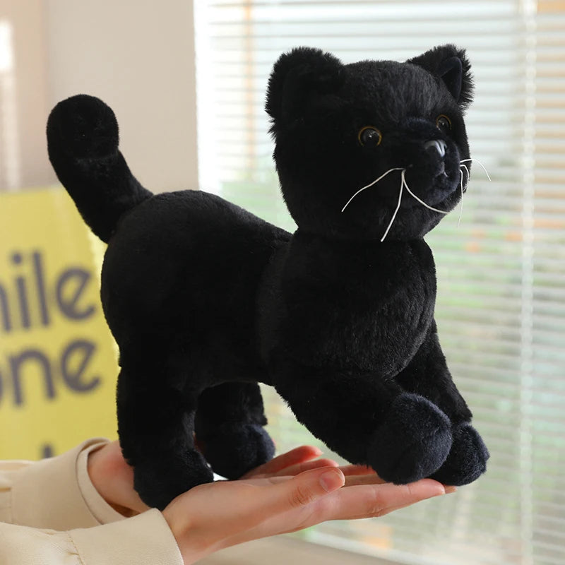 Cat Plush – Black and White Tuxedo | Toki Toy Box