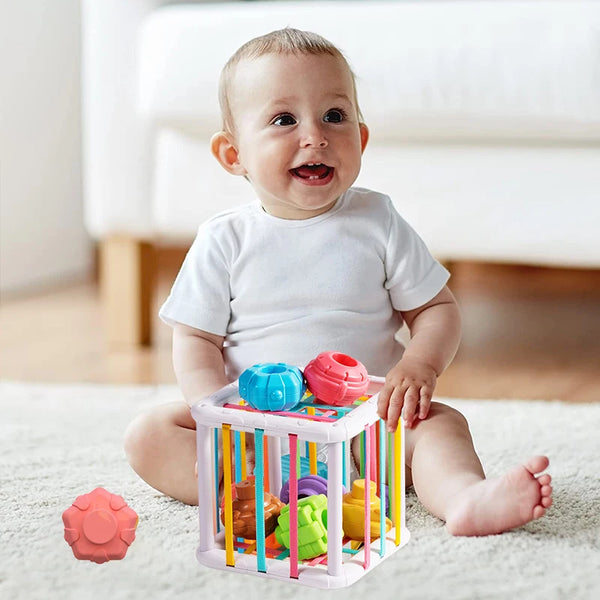 Colorful Shape Sorter Toy – Smart Learning for Kids
