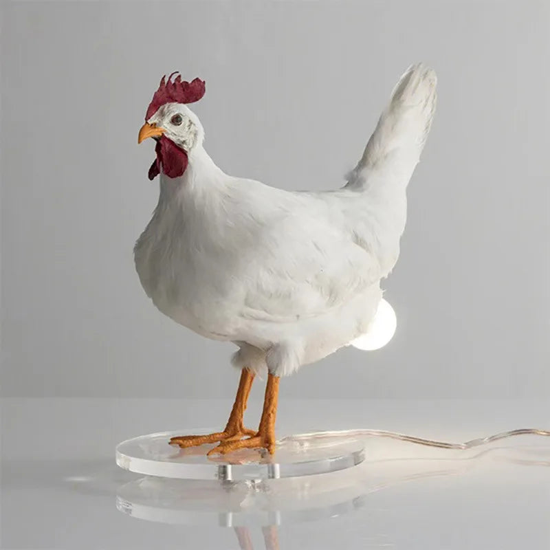Duck Egg LED Night Lamp – Cute Soft Glow Light – Packaging | Toki Toy Box