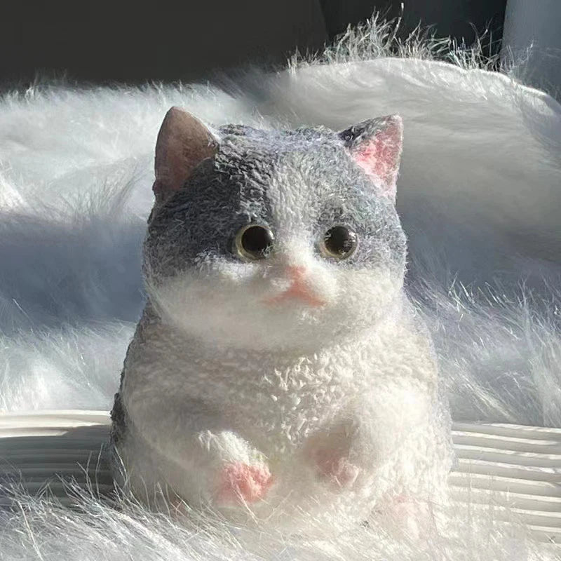 Squishy Fat Cat Stress Toy | Toki Toy Box – View 13 | Toki Toy Box