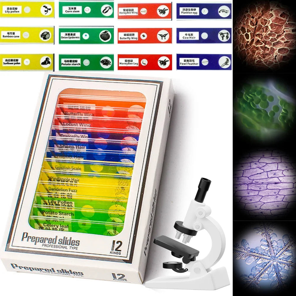 Pocket LED Microscope for Curious Kids - Toki Toy Box