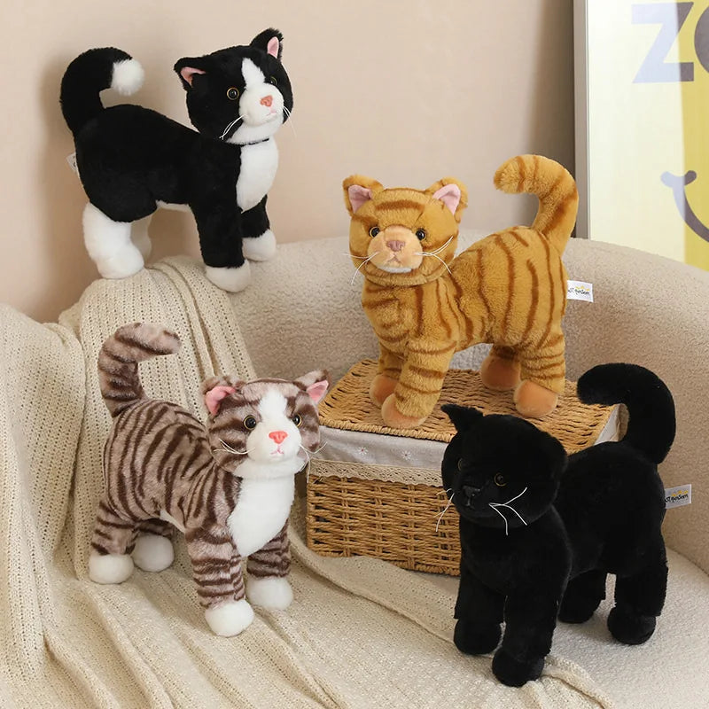Cat Plush – Black Color | Toki Toy Box