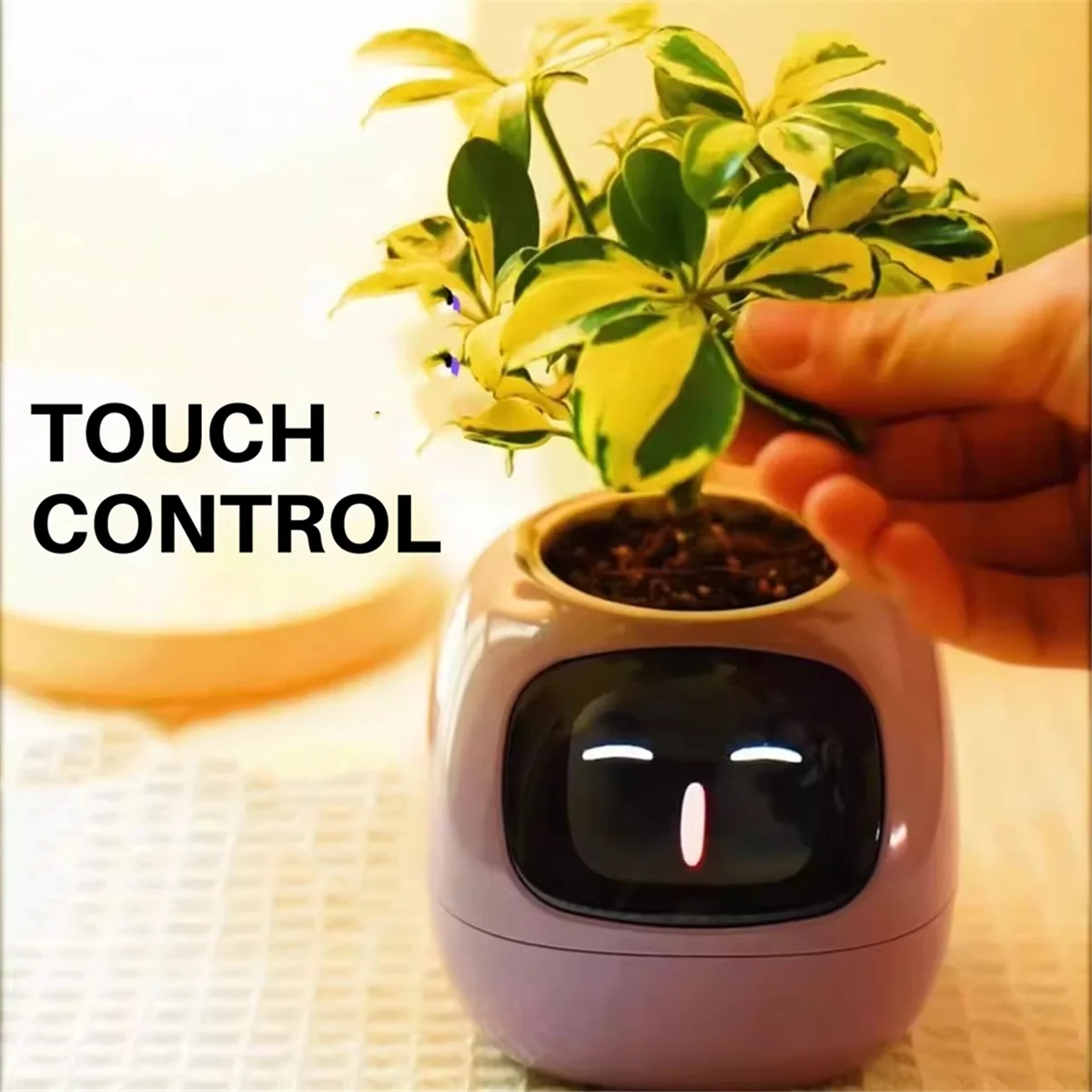 Powered Smart Plant Pot – Real-Time Monitoring & Display