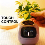 Powered Smart Plant Pot – Real-Time Monitoring & Display