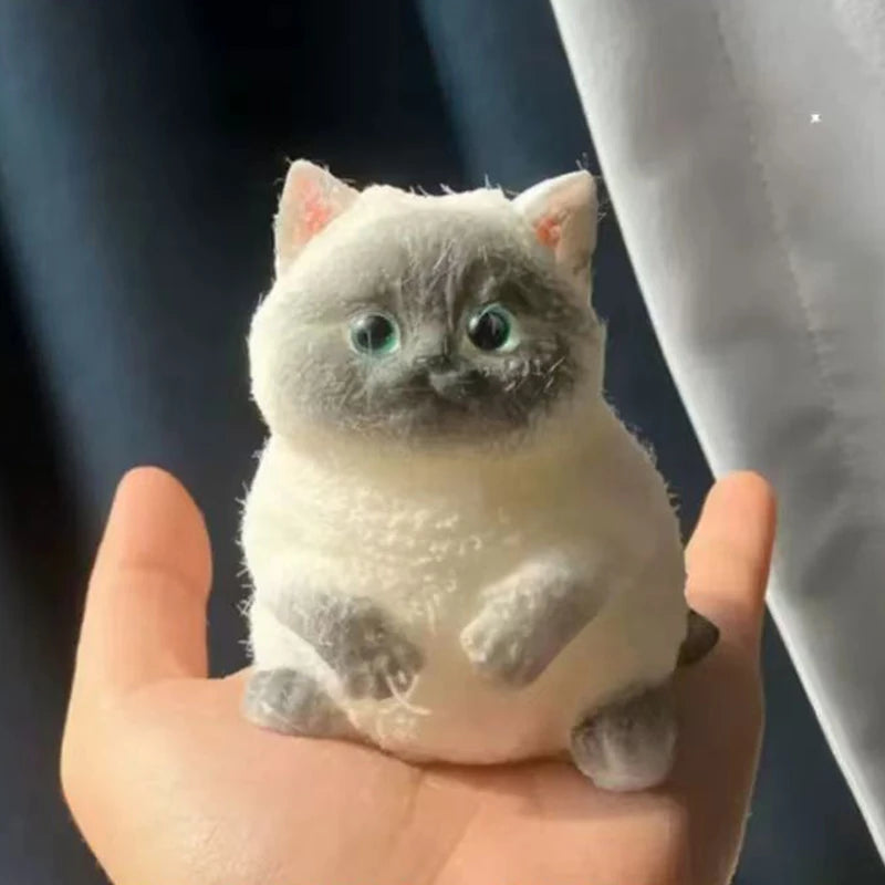 Squishy Fat Cat Stress Toy | Toki Toy Box – Lifestyle | Toki Toy Box