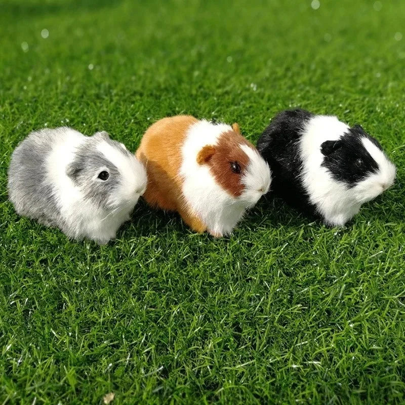 Realistic Hamster Plush – Lifelike Mini Pet – Size Reference | Toki Toy Box