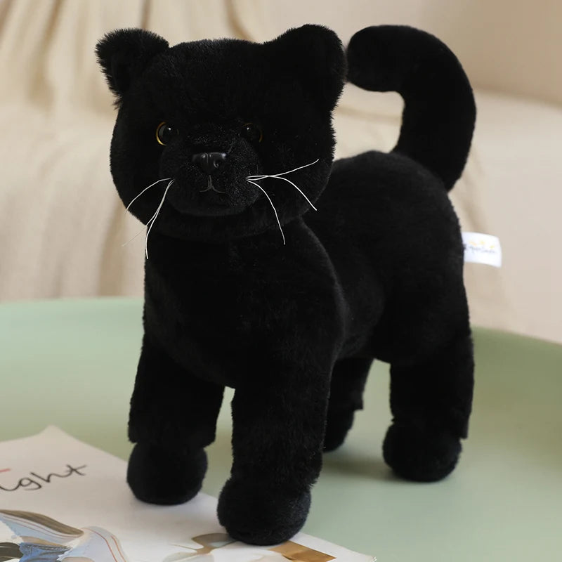 Cat Plush – All 4 Colors | Toki Toy Box