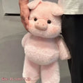 Cuddle Pig Plush Pillow – Soft Emotional Support Toy