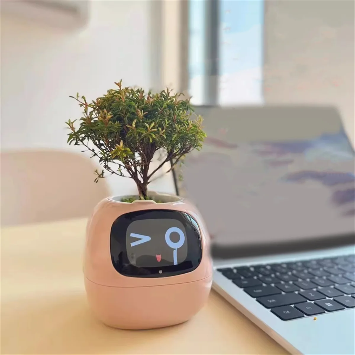 Powered Smart Plant Pot – Real-Time Monitoring & Display