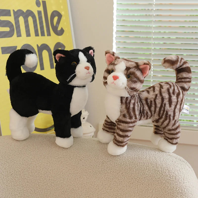 Cat Plush – Orange Ginger | Toki Toy Box
