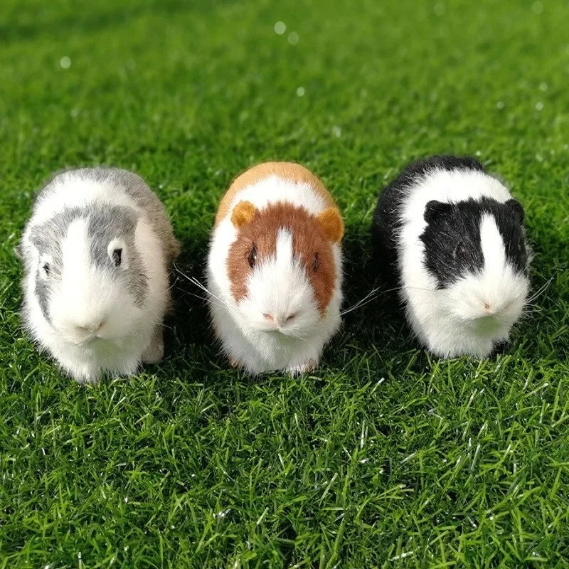 Realistic Hamster Plush – Lifelike Mini Pet – Whats Included | Toki Toy Box