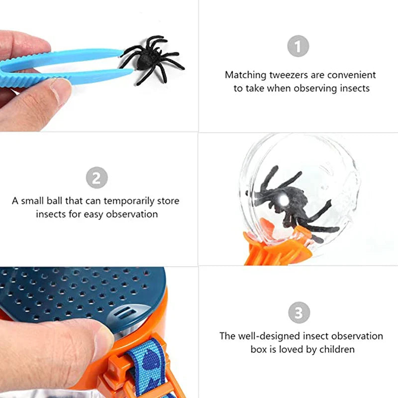 AInsect Viewer Kit – Outdoor Bug Catcher for Kids – Size Reference | Toki Toy Box