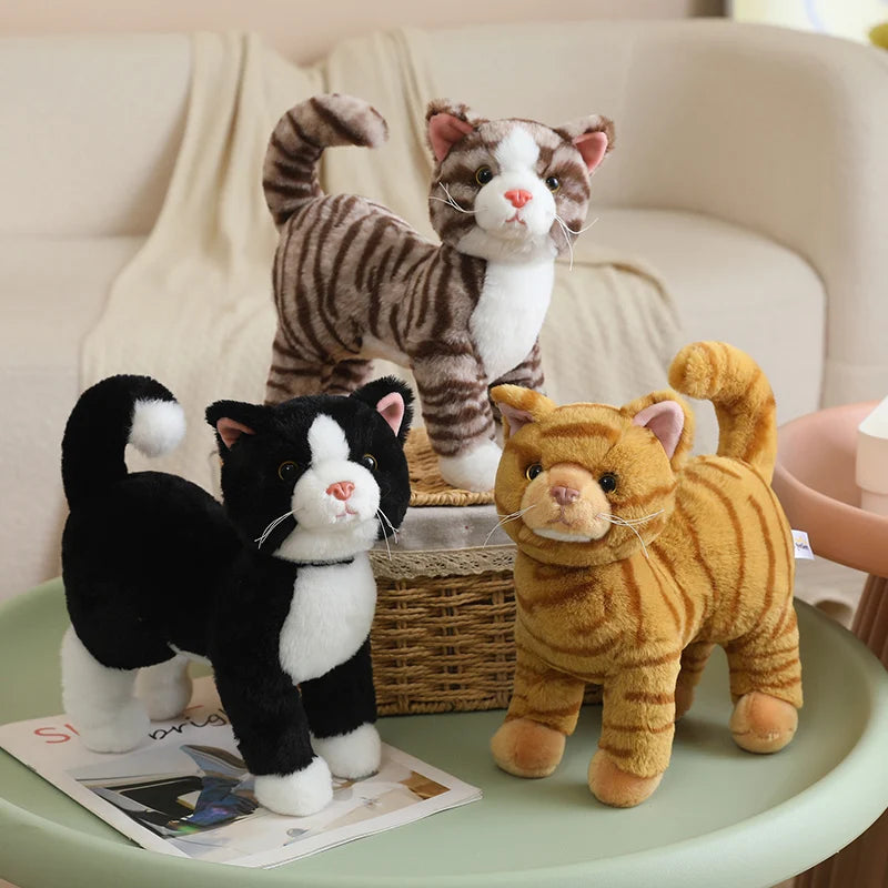 Cat Plush – Head Turned Side-Eye | Toki Toy Box
