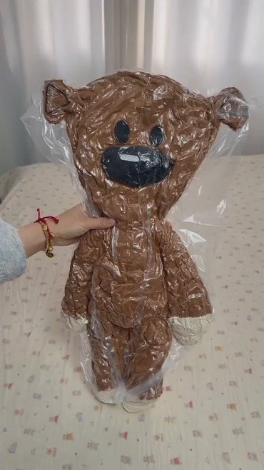 Funny Teddy Plush – Silly Classic Bear Pillow