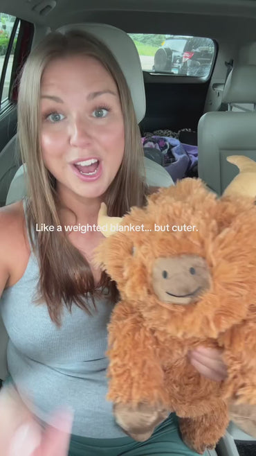 Fluffy Highland Cow Plush – Soft Shaggy Farm Buddy